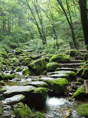 Mt. Mitake