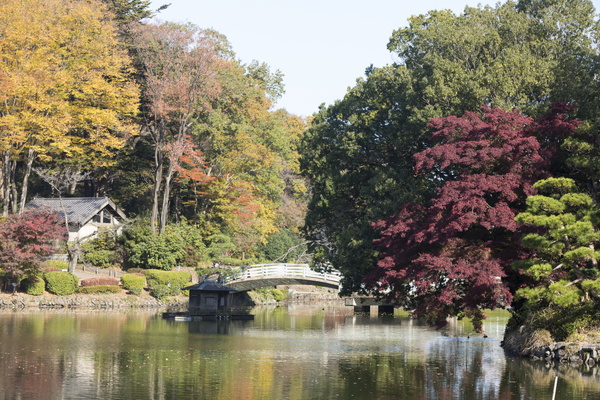 写真：町田薬師池公園　四季彩の杜
